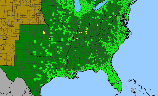 The range of Pontederia cordata var. cordata